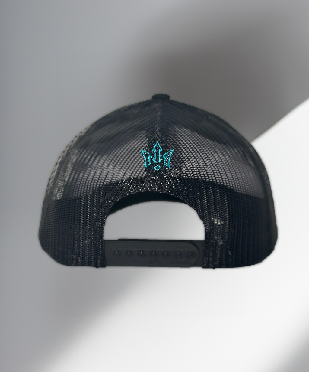 TDZ Original Electric Blue Snapback