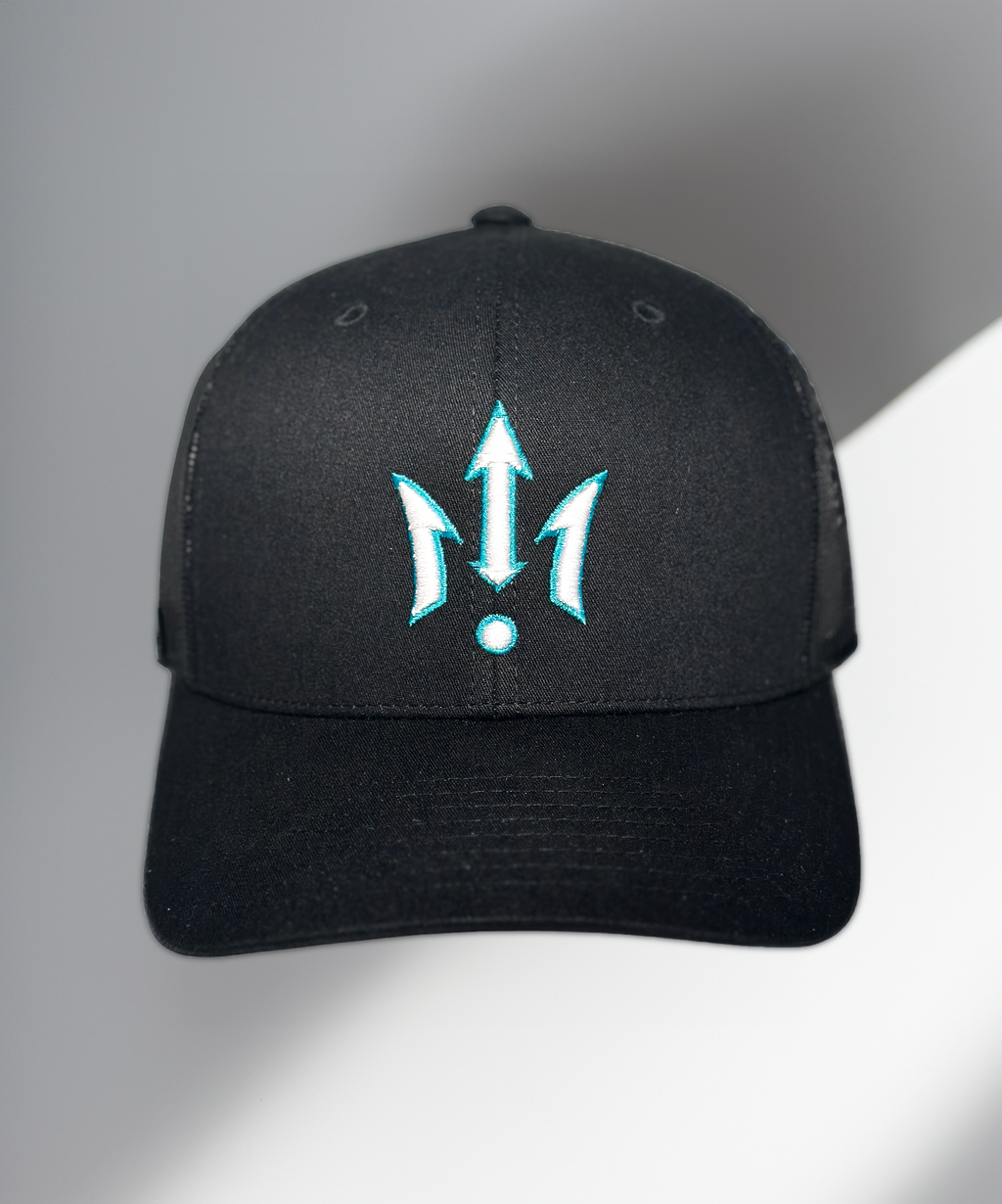 TDZ Original Electric Blue Snapback